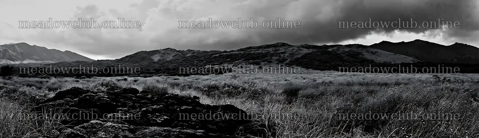Kumamoto volcanic meadow with dark rocks in foreground – meadow photos 14762x4268