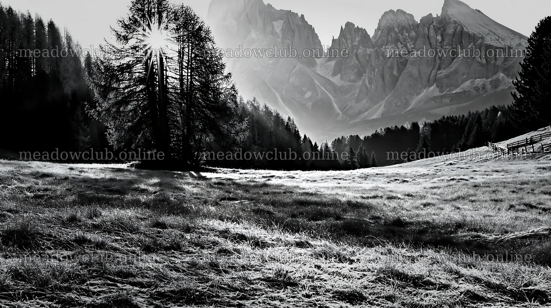 Sunbeams over Alpe di Siusi meadow at dawn – meadow photos 10608x5938