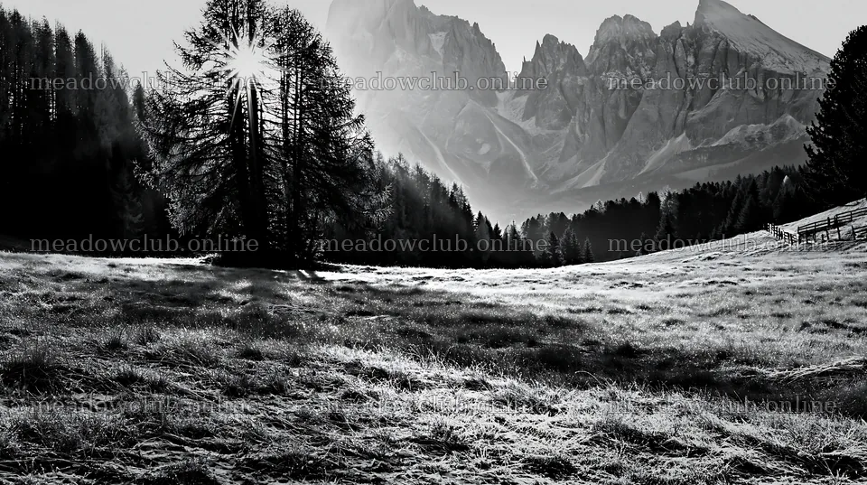 Sunbeams over Alpe di Siusi meadow at dawn – meadow photos 10608x5938