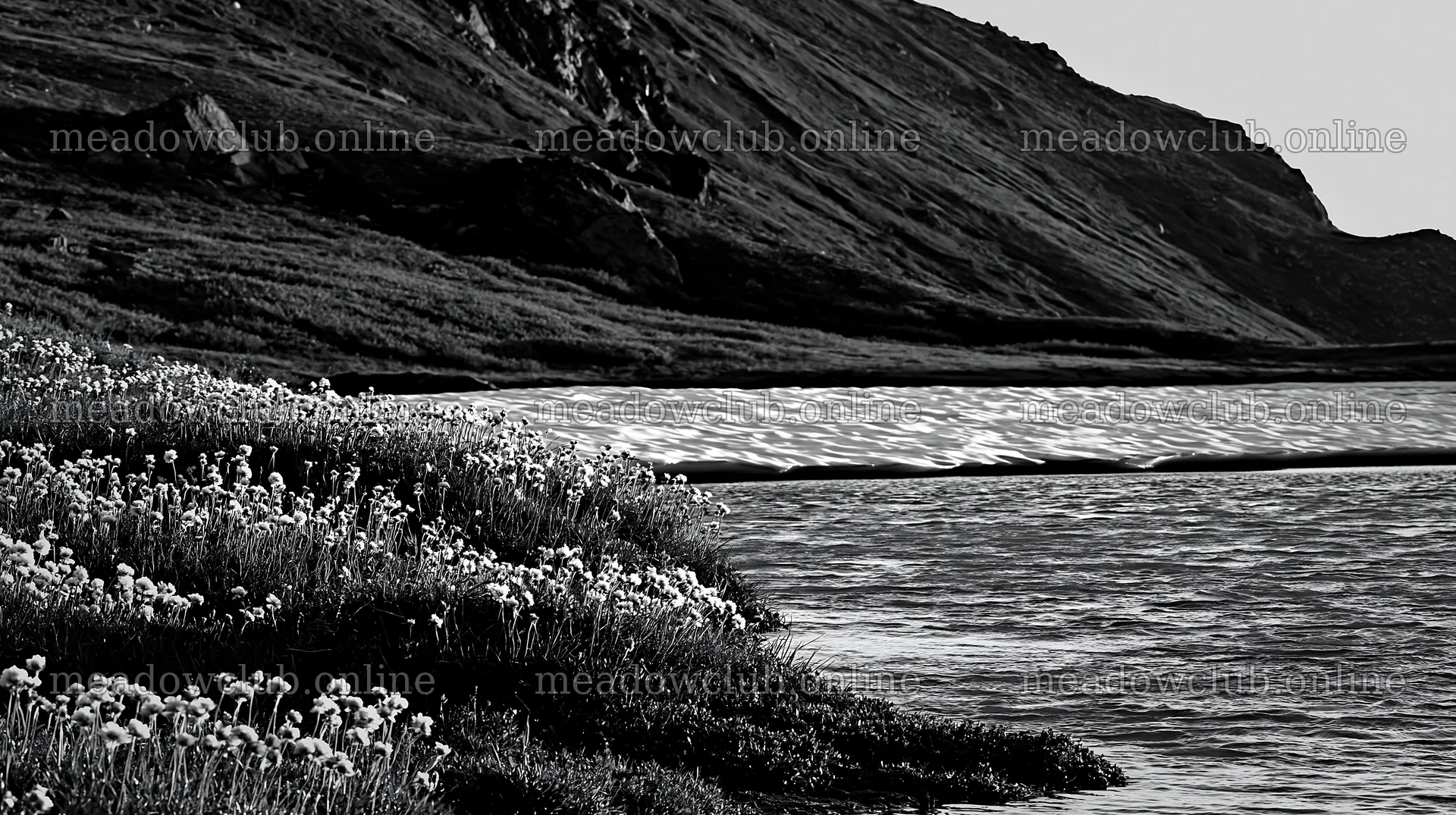 Frozen tarn meadow with melting snow and flowers along the shore – meadow photos 10608x5938
