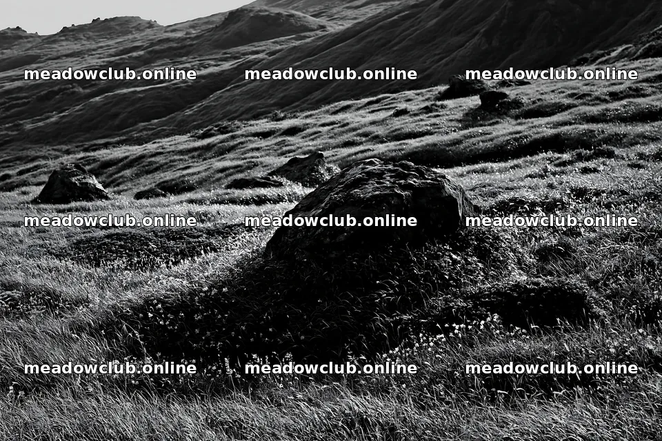 Aomori climate resilient meadow with boulder – meadow photos 9722x6480