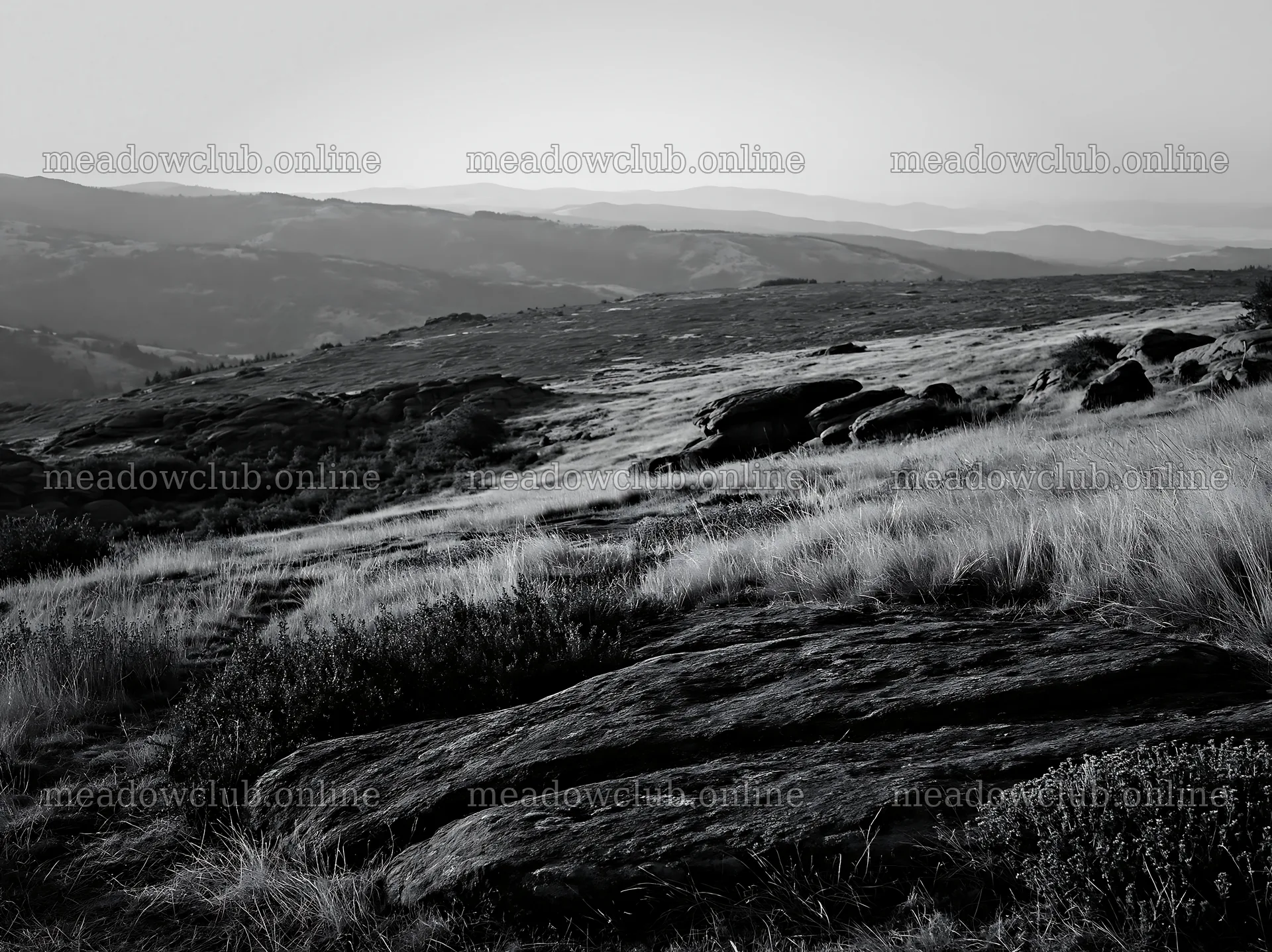 Meadow landscape with rocks and rolling hills in black and white – meadow photos 9174x6866