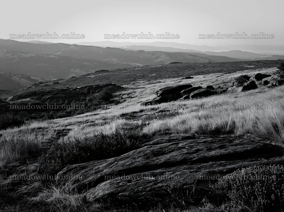 Meadow landscape with rocks and rolling hills in black and white – meadow photos 9174x6866
