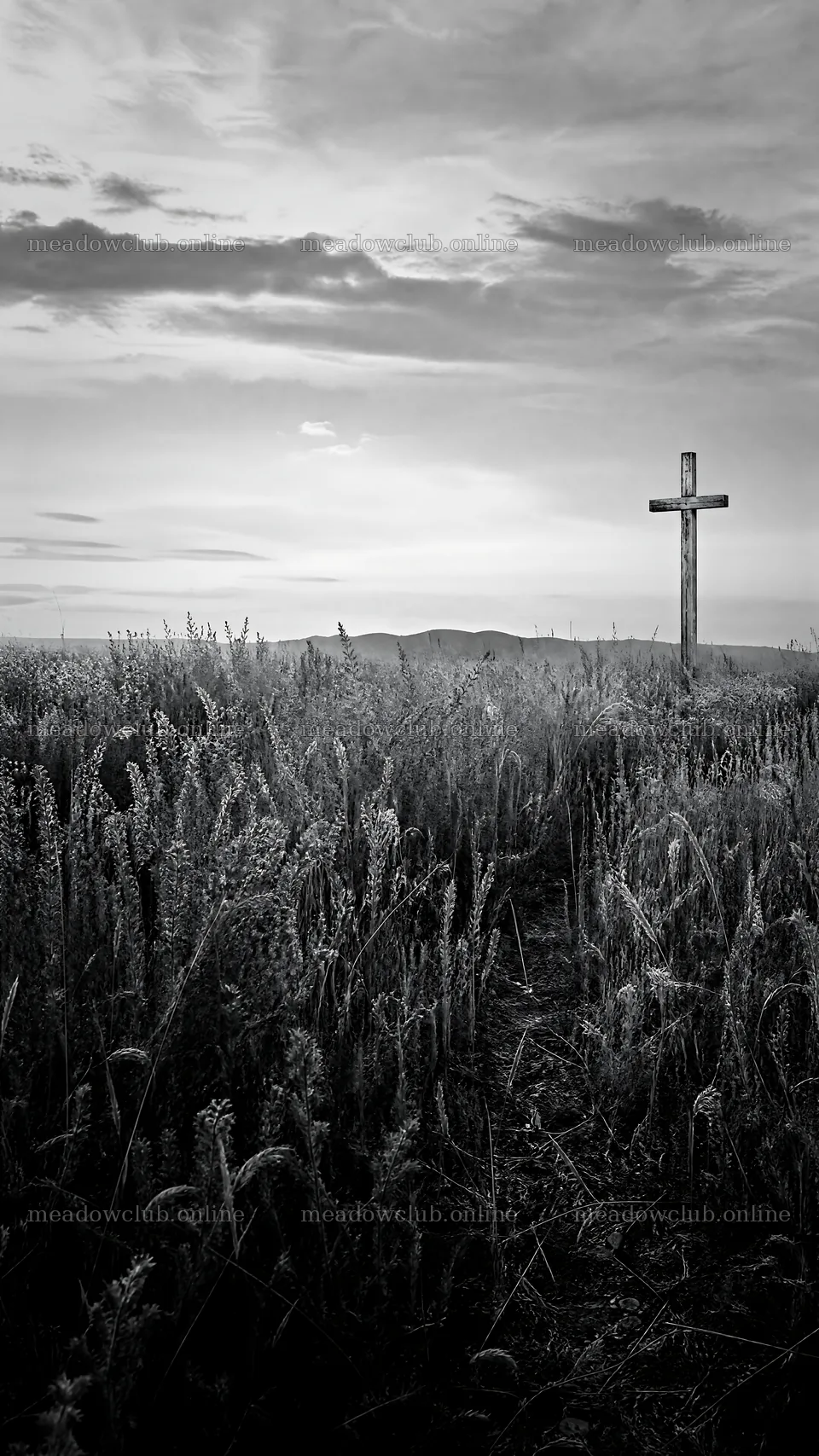 Golden Christian cross in sunset meadow – meadow photos 5952x10584