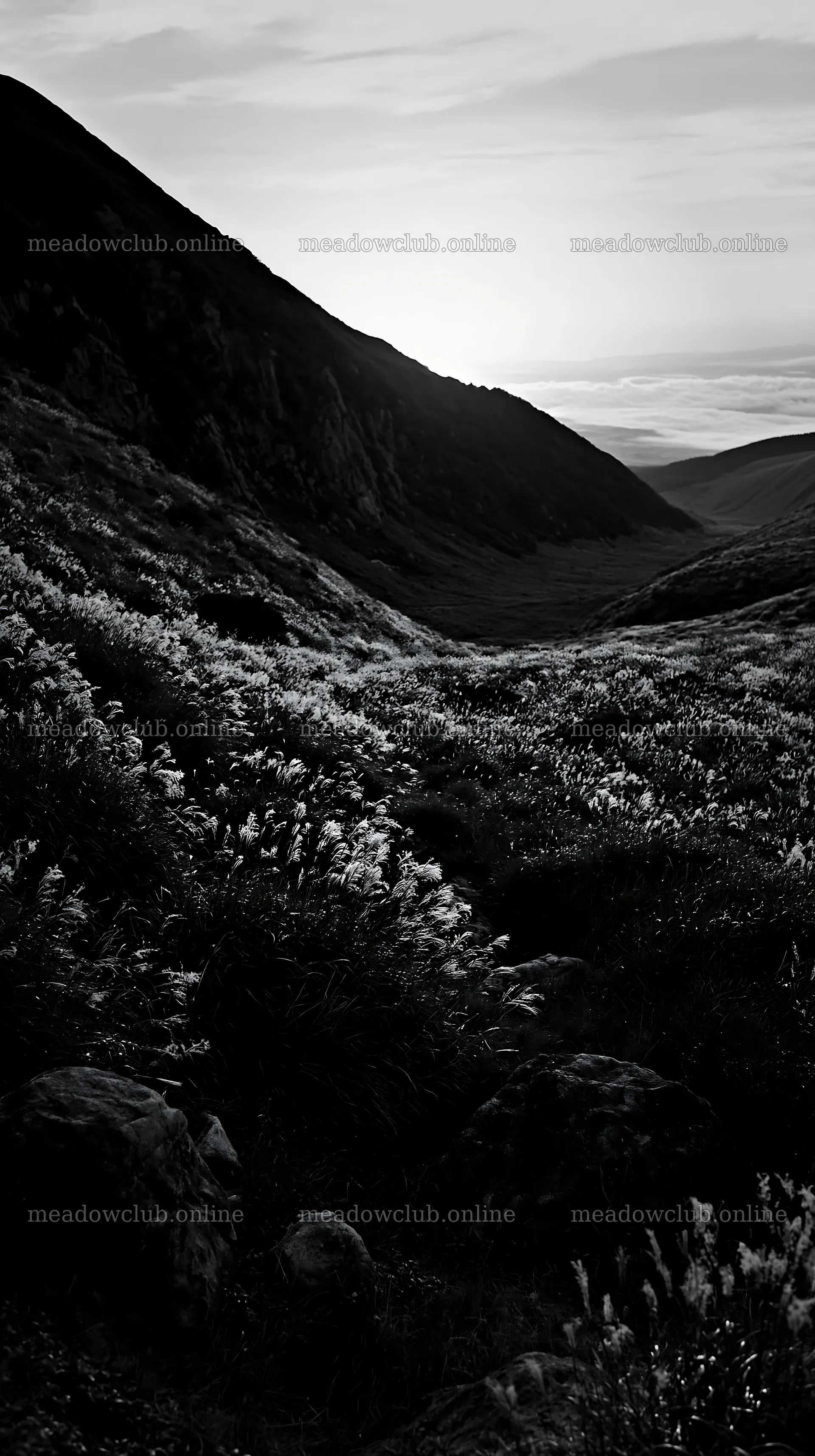 Oita highland meadow showing granite stones at sunset – meadow photos 5938x10608