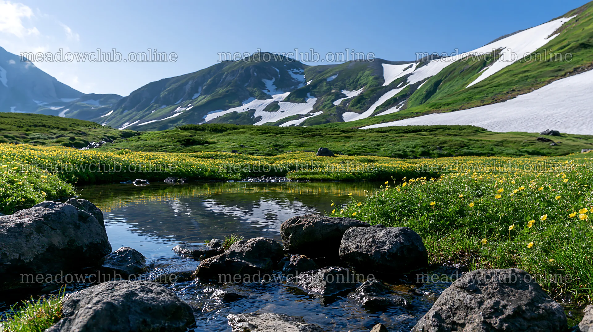 Toyama alpine meadow snowmelt rock foreground – meadow photos 10608x5938