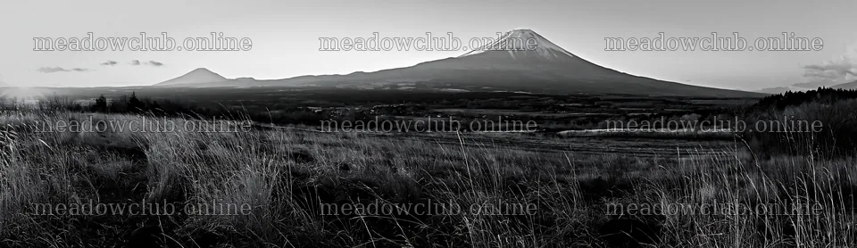 Yamanashi regenerative meadow with basalt stones at sunset – meadow photos 14762x4268