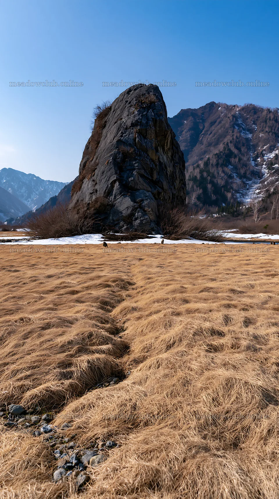 Granite boulder in Nagano's drought resilient meadow – meadow photos 5938x10608