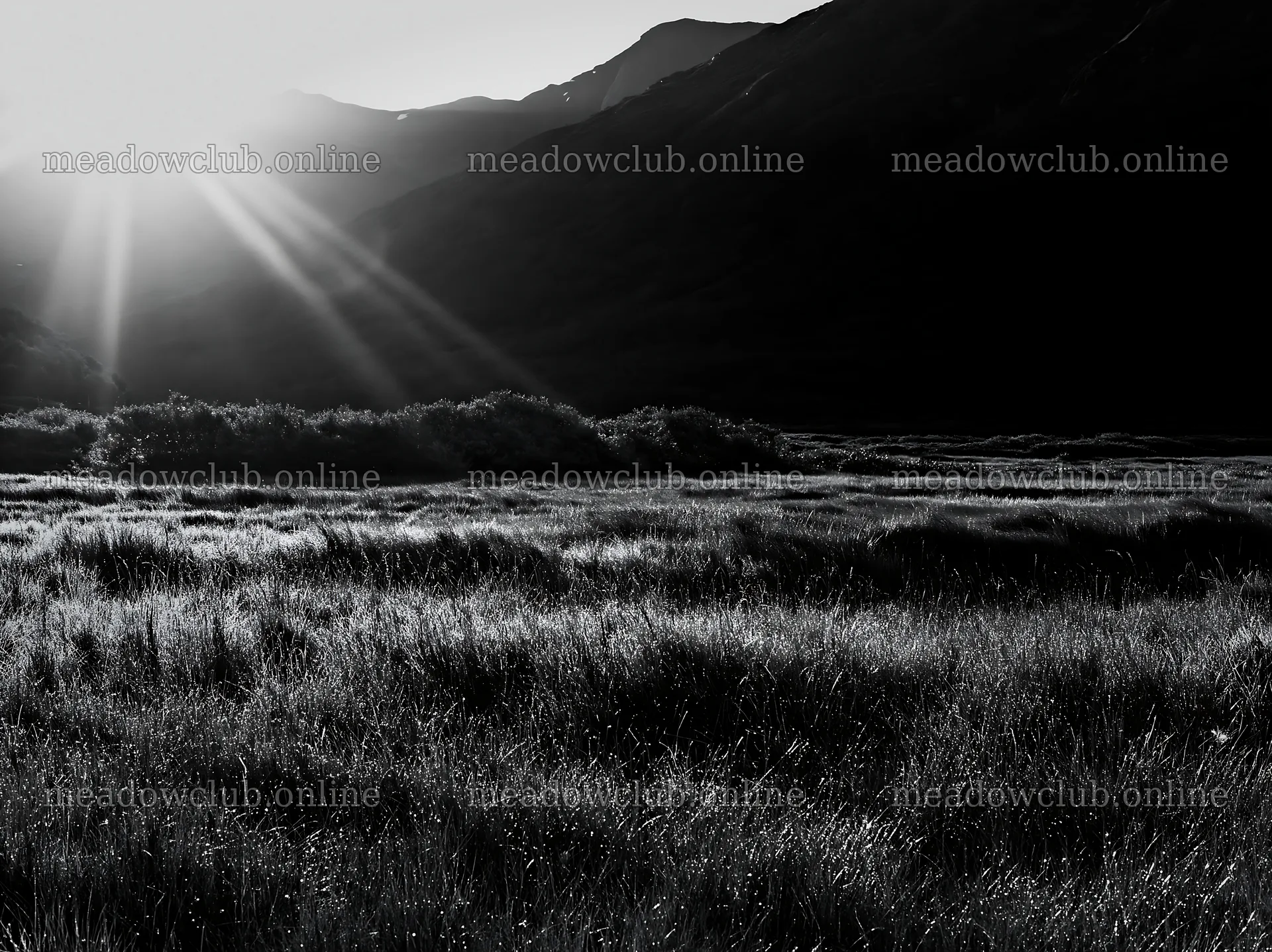 Sunbeams shining over Jotunheimen valley meadow – meadow photos 9174x6866