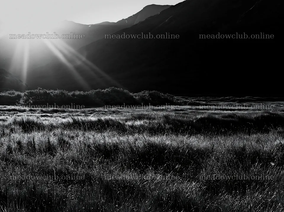 Sunbeams shining over Jotunheimen valley meadow – meadow photos 9174x6866