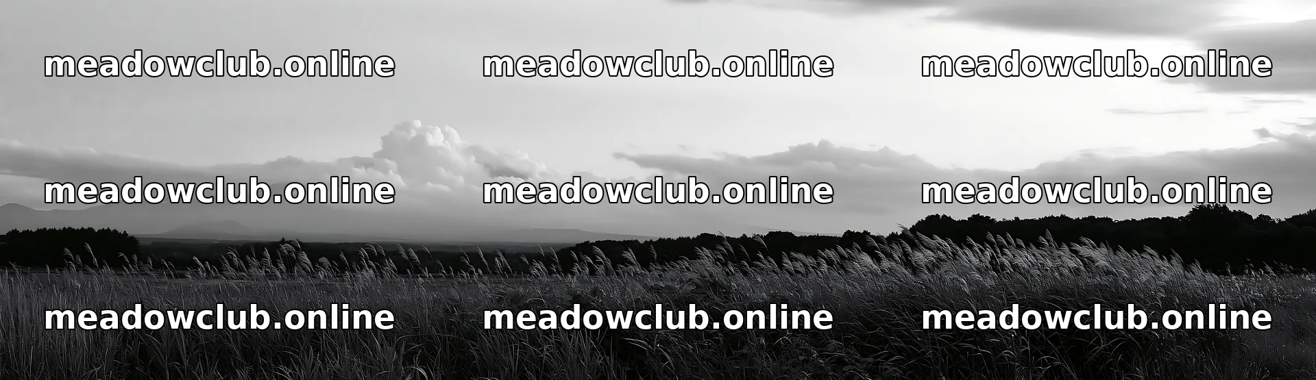 Iwate rain refreshed meadow seedhead foreground – meadow photos 14762x4268