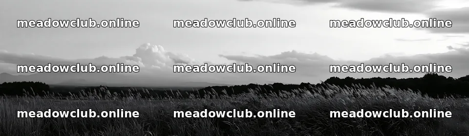 Iwate rain refreshed meadow seedhead foreground – meadow photos 14762x4268