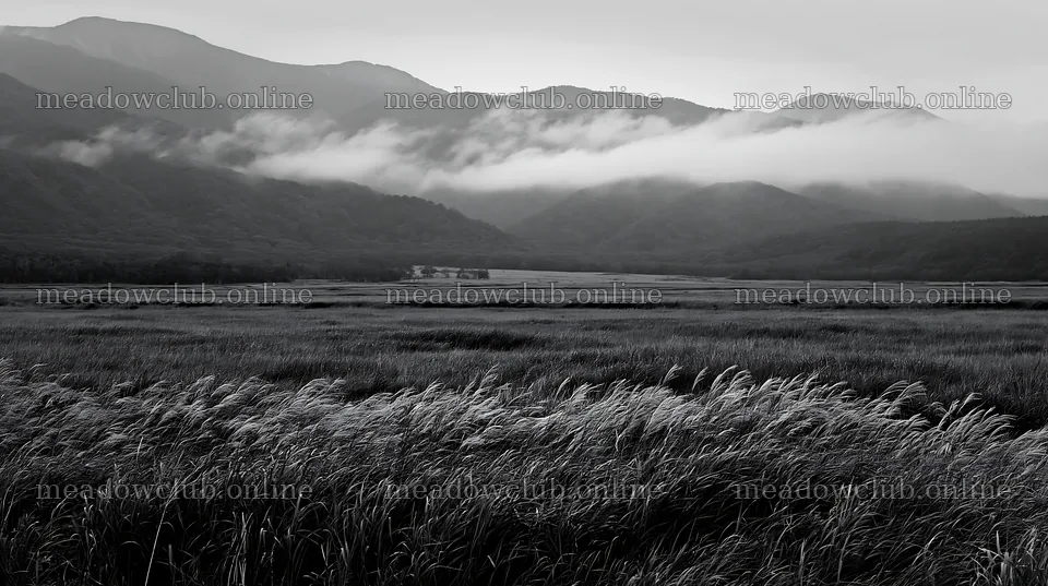 Meadow seedheads in Iwate with mountains and clouds – meadow photos 10608x5938