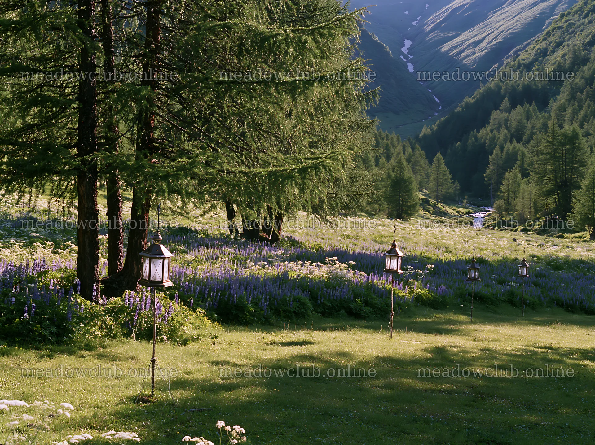 Christmas lanterns in deep mountain valley meadow – meadow photos 9174x6866