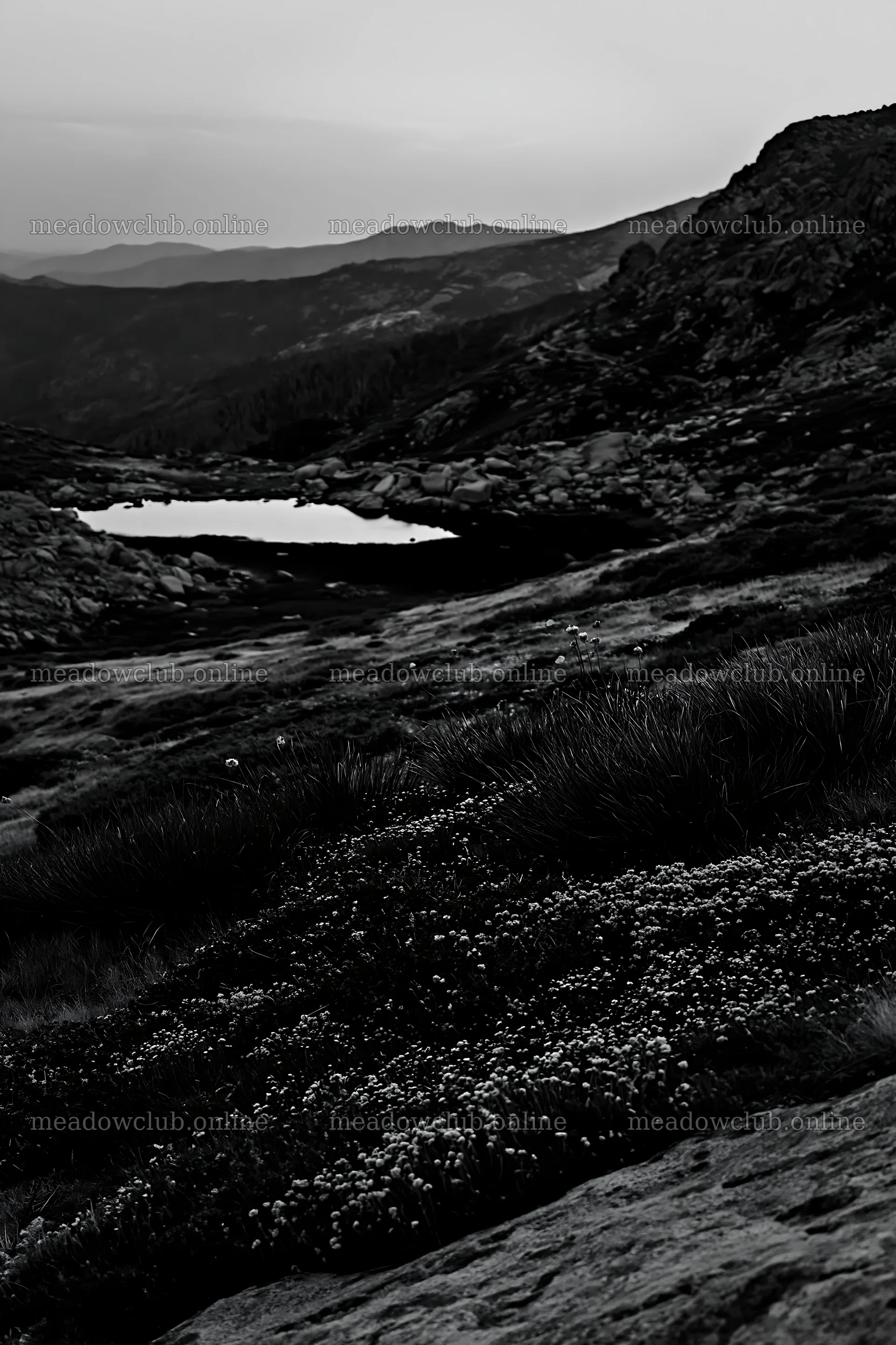 Moonlit meadow with distant mountains and still water – meadow photos 6480x9722
