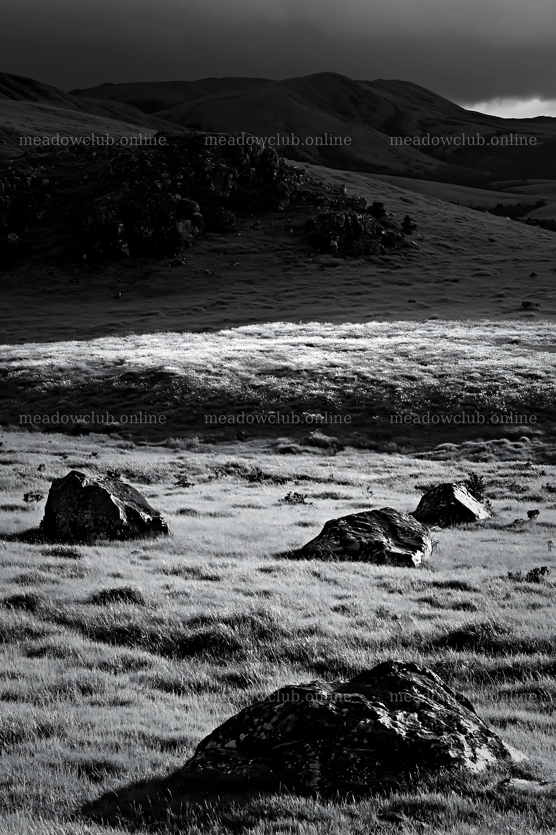 Restored Kumamoto silver grass meadow with boulders – meadow photos 6480x9722