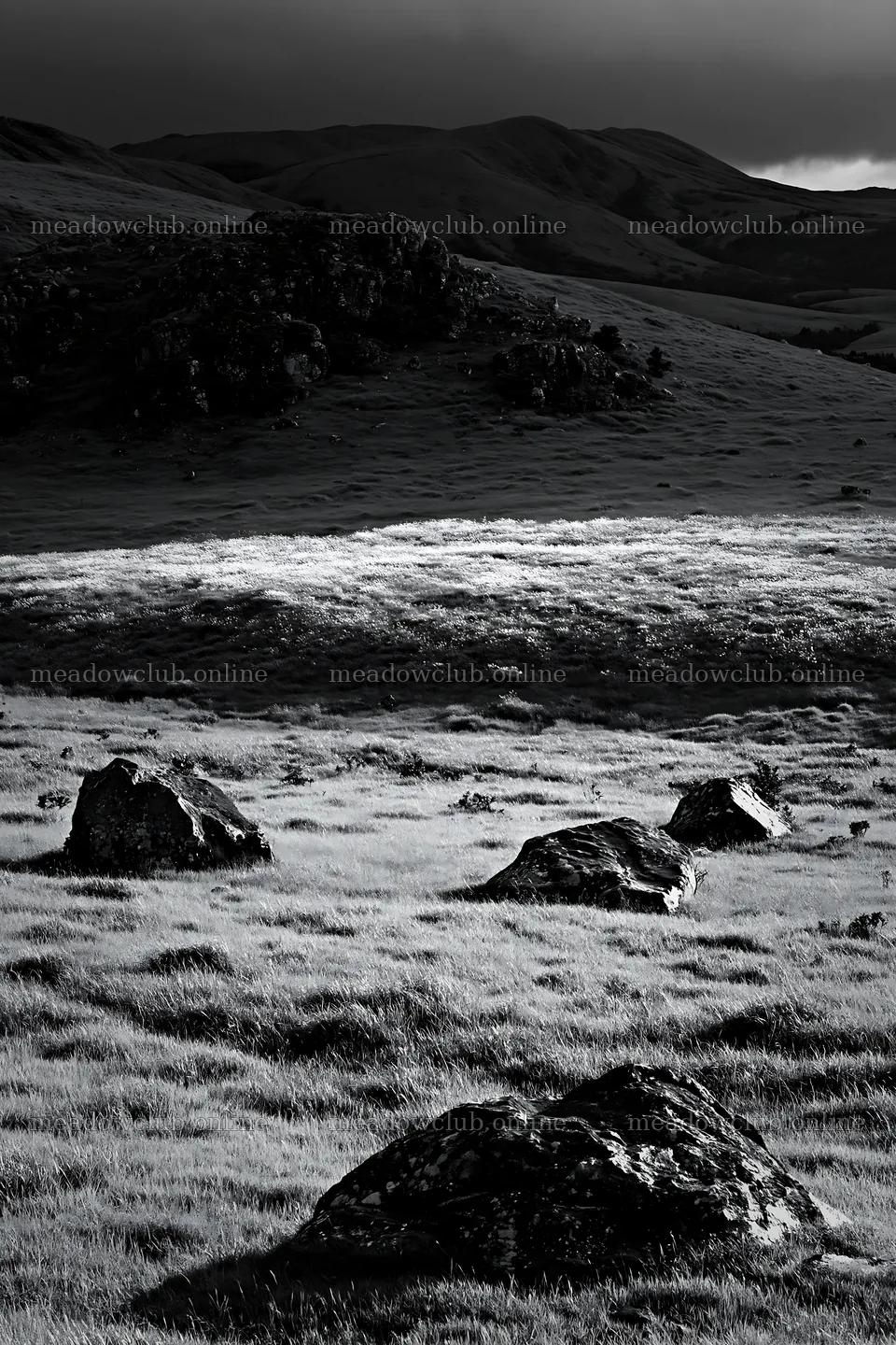 Restored Kumamoto silver grass meadow with boulders – meadow photos 6480x9722