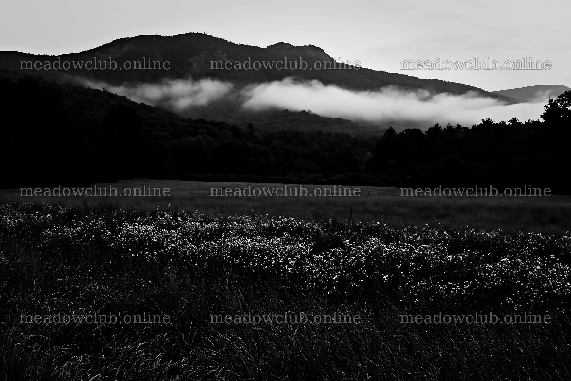 Dewy meadow with mountains and mist in early morning light – meadow photos 9722x6480