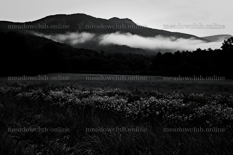 Dewy meadow with mountains and mist in early morning light – meadow photos 9722x6480