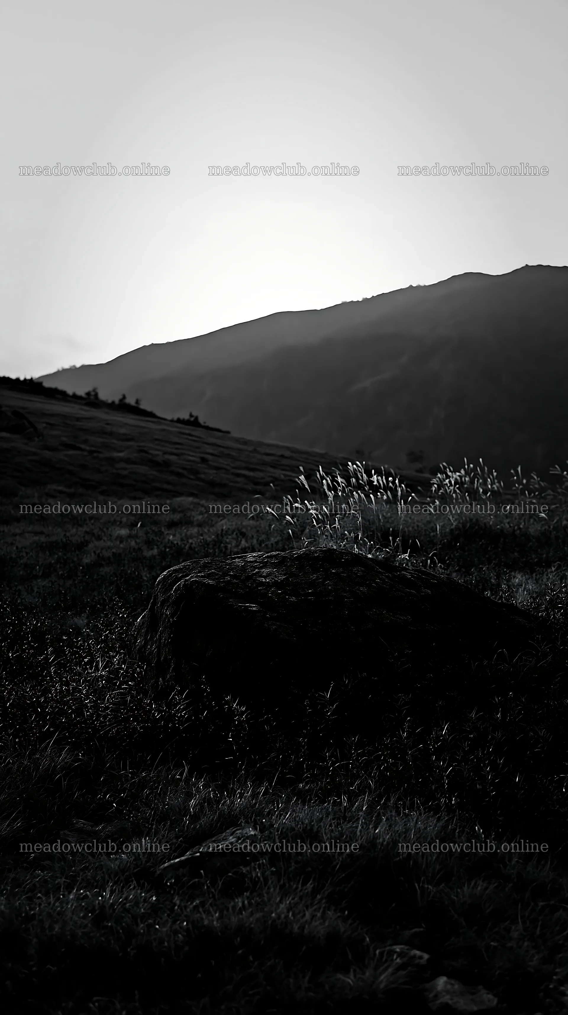 Nagano drought resilient meadow granite boulder – meadow photos 5938x10608