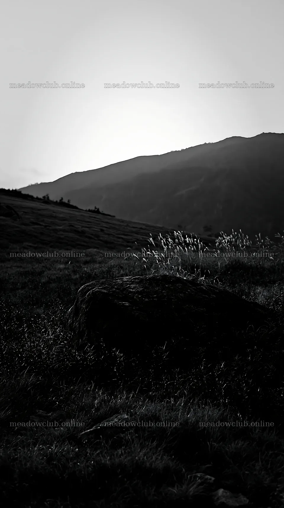 Nagano drought resilient meadow granite boulder – meadow photos 5938x10608