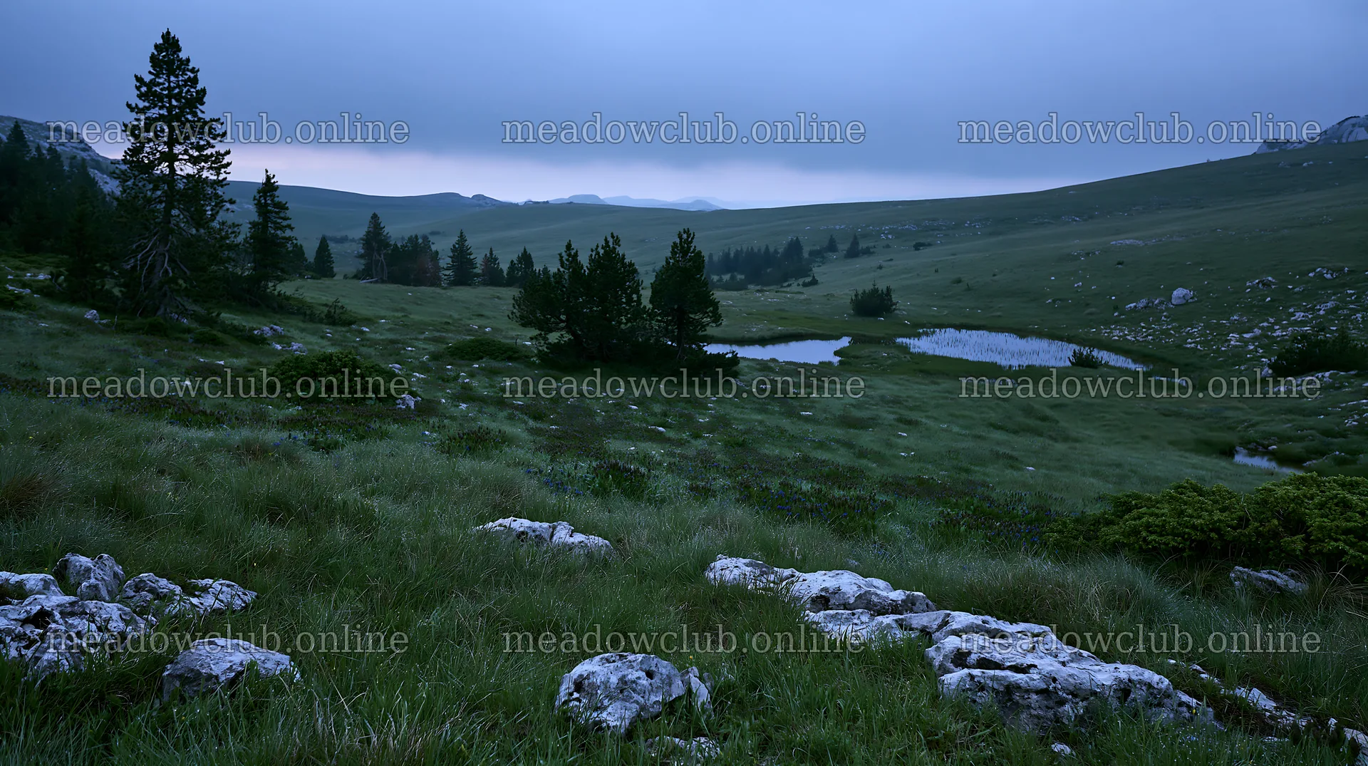 Clover speedwell meadow with gentle hills under cloudy sky – meadow photos 10608x5938