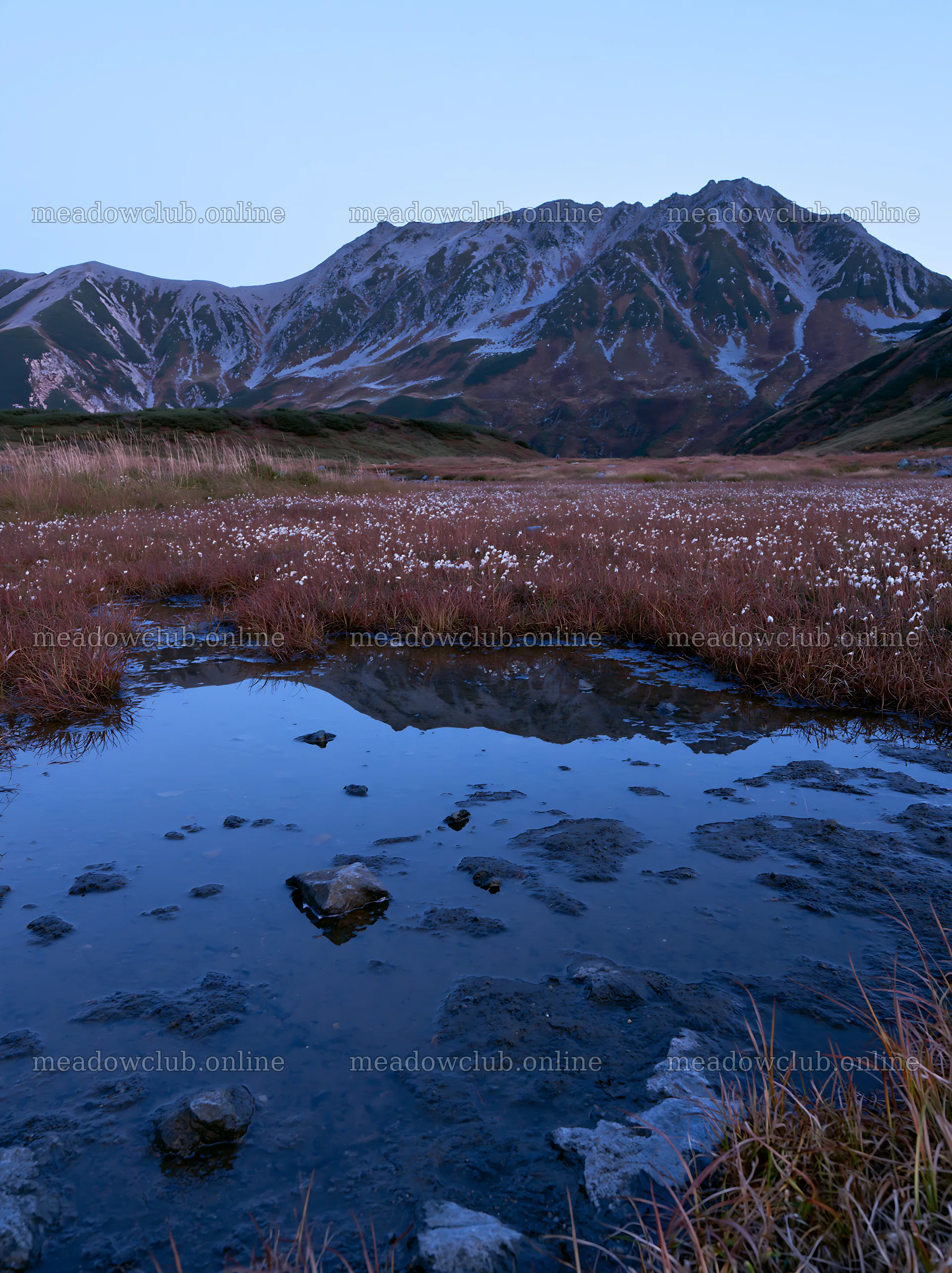 Toyama alpine meadow snowmelt rock foreground with reflections – meadow photos 6866x9174