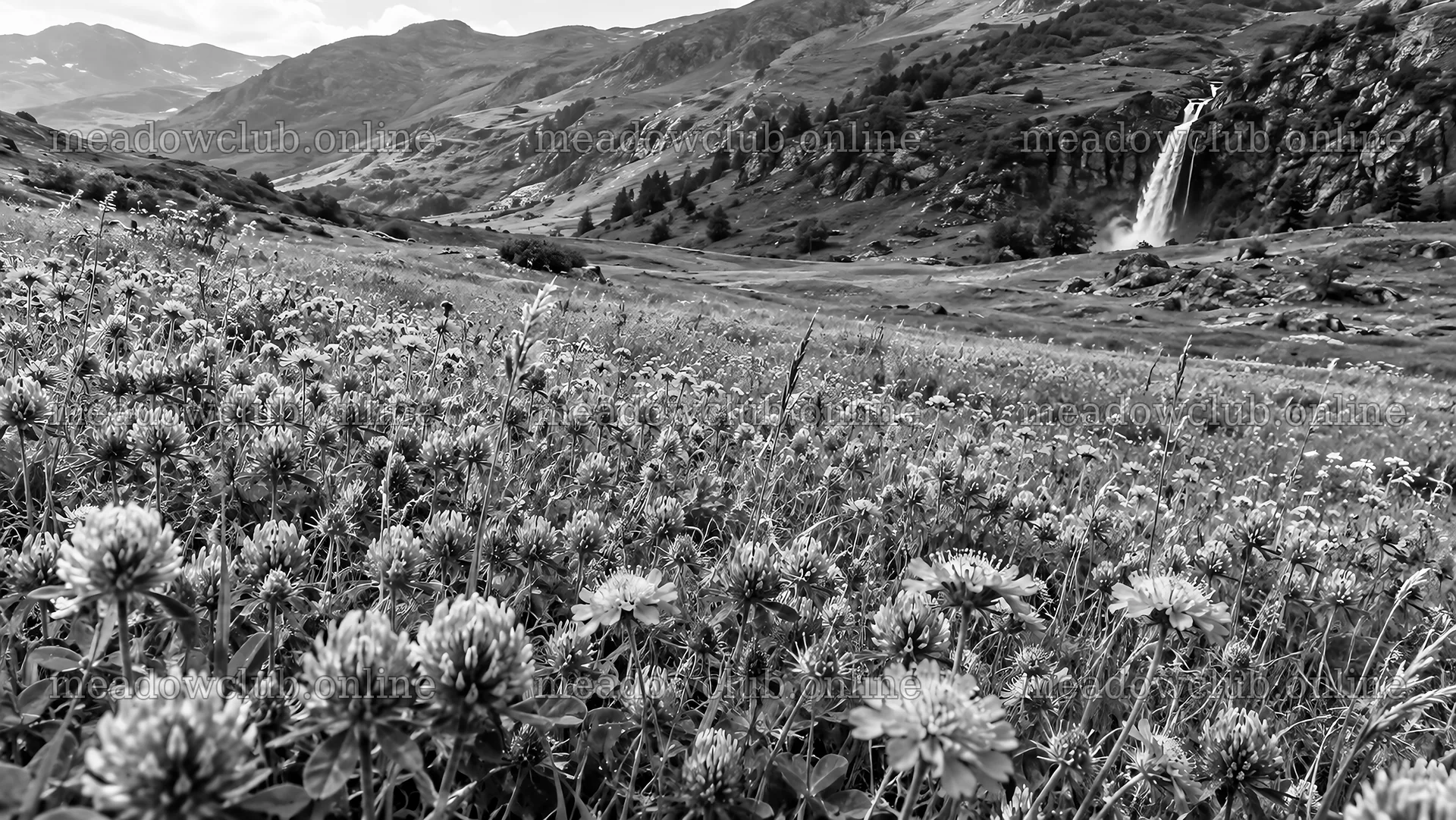 Black and White Mountain Meadow and Waterfall – meadow photos 10324x5812