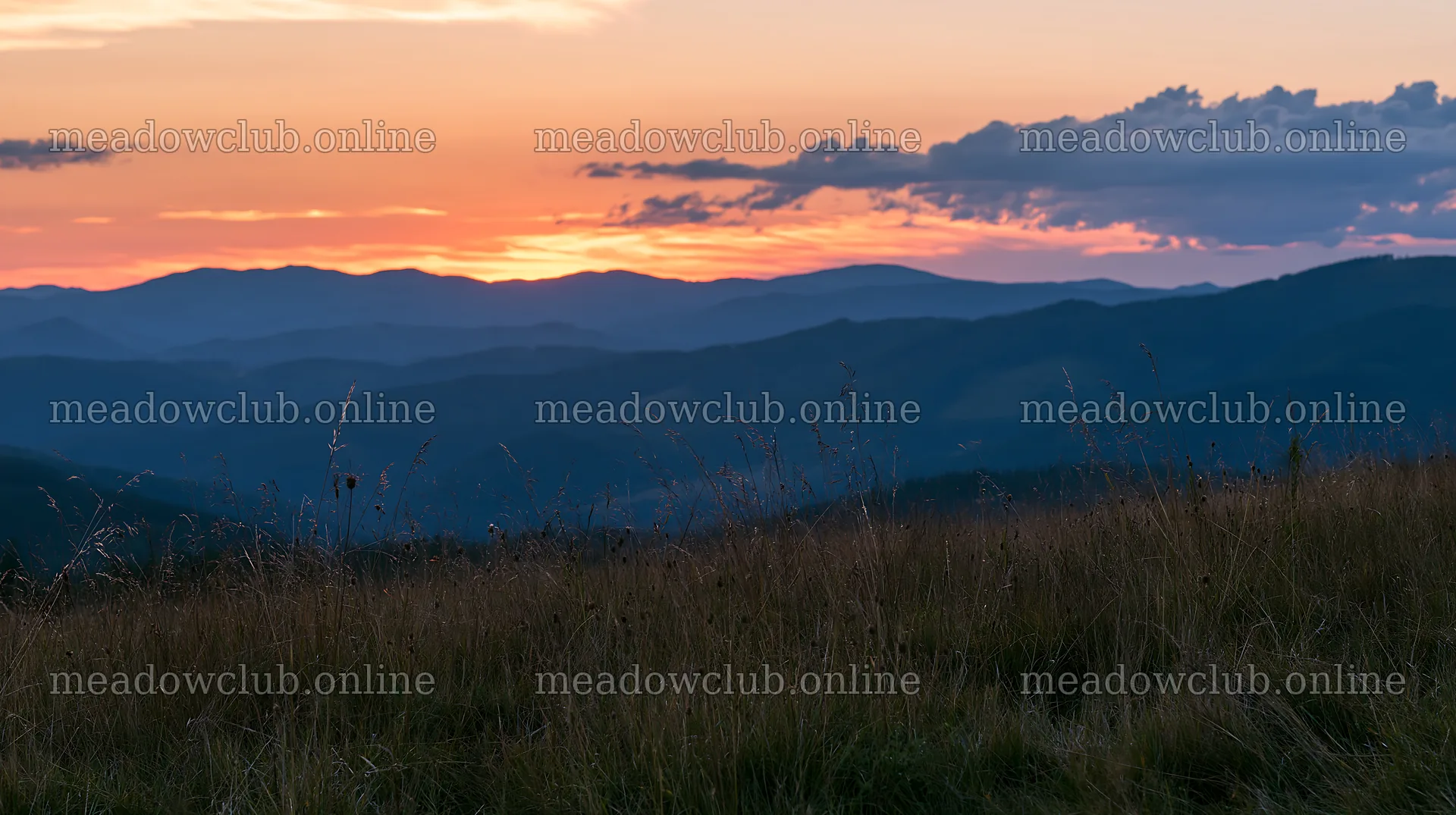 Sunset over mountains with grass in the foreground – meadow photos 10608x5938