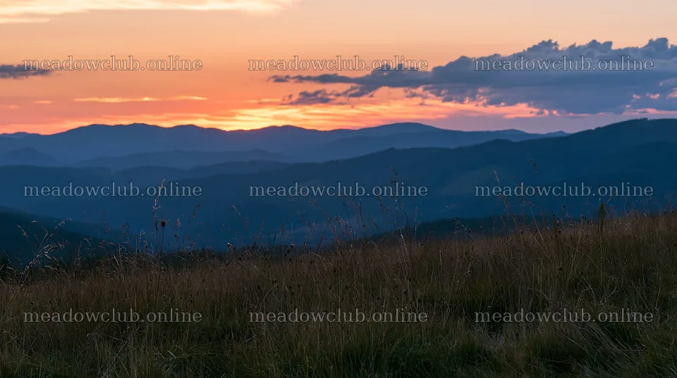 Sunset over mountains with grass in the foreground – meadow photos 10608x5938