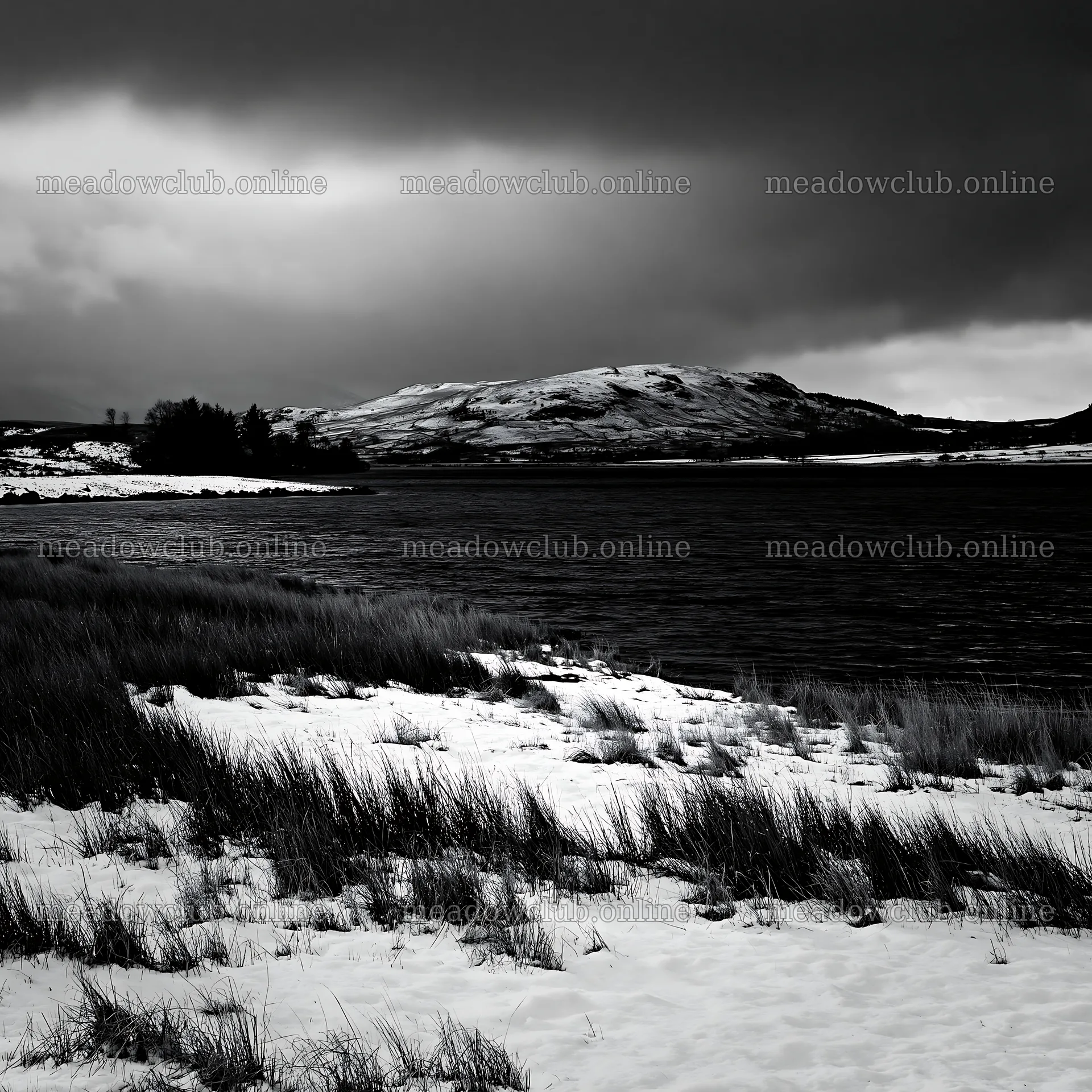 Snowy lakeside meadow under dark clouds – meadow photos 7938x7938