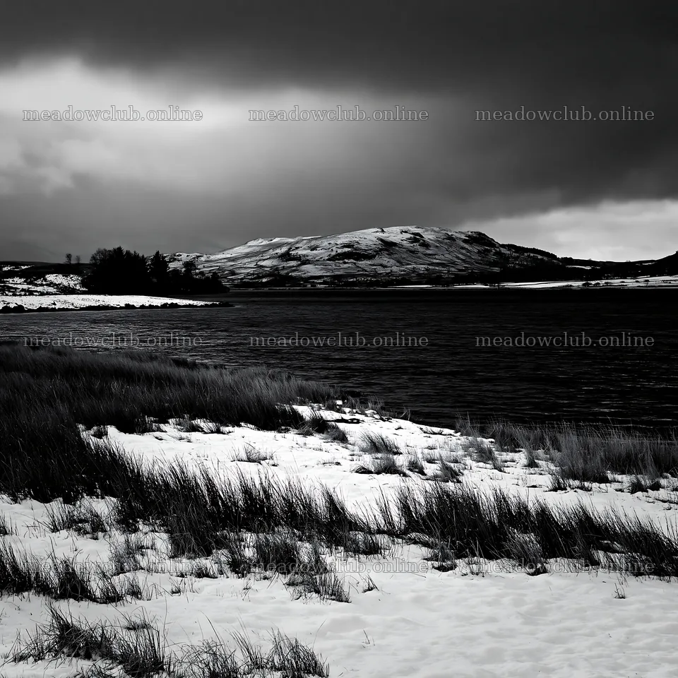 Snowy lakeside meadow under dark clouds – meadow photos 7938x7938