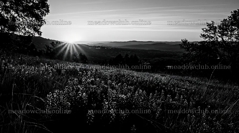 Bluebonnet meadow sunrise with sun rising over mountains – meadow photos 10608x5938