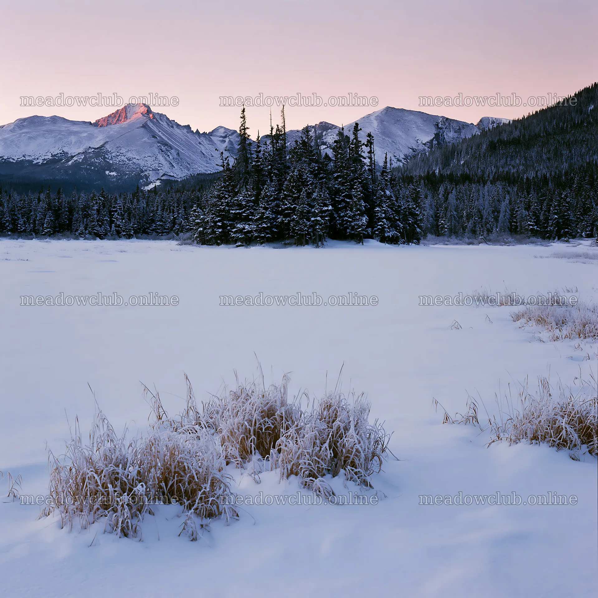 Snowy Rocky Mountain Park meadow at dusk – meadow photos 7938x7938