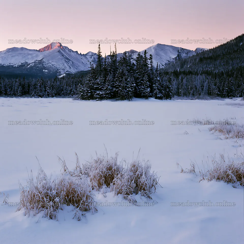 Snowy Rocky Mountain Park meadow at dusk – meadow photos 7938x7938