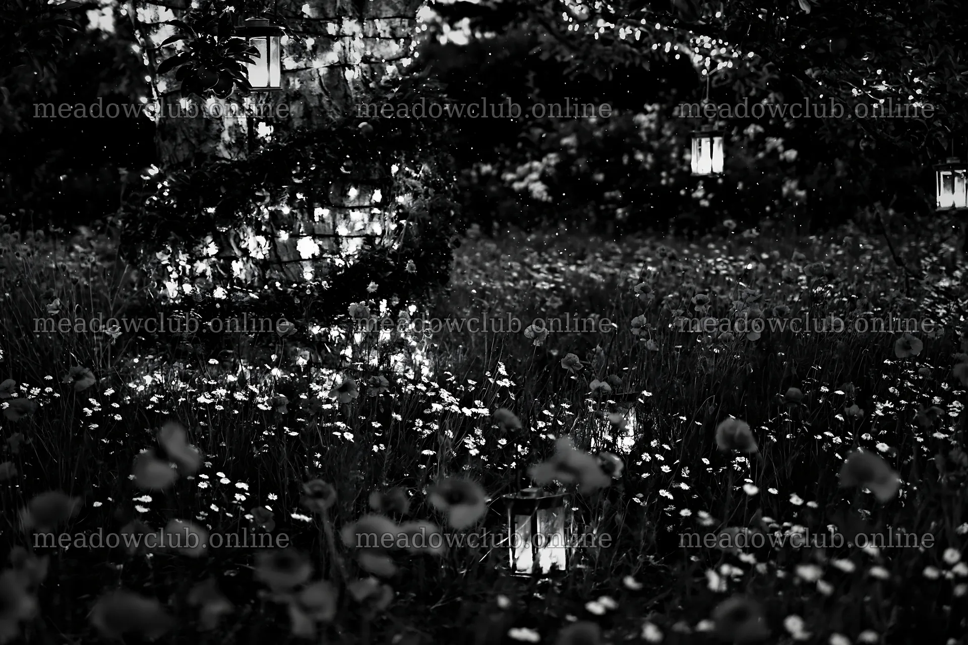 Nighttime meadow with apple trees and lanterns – meadow photos 9722x6480