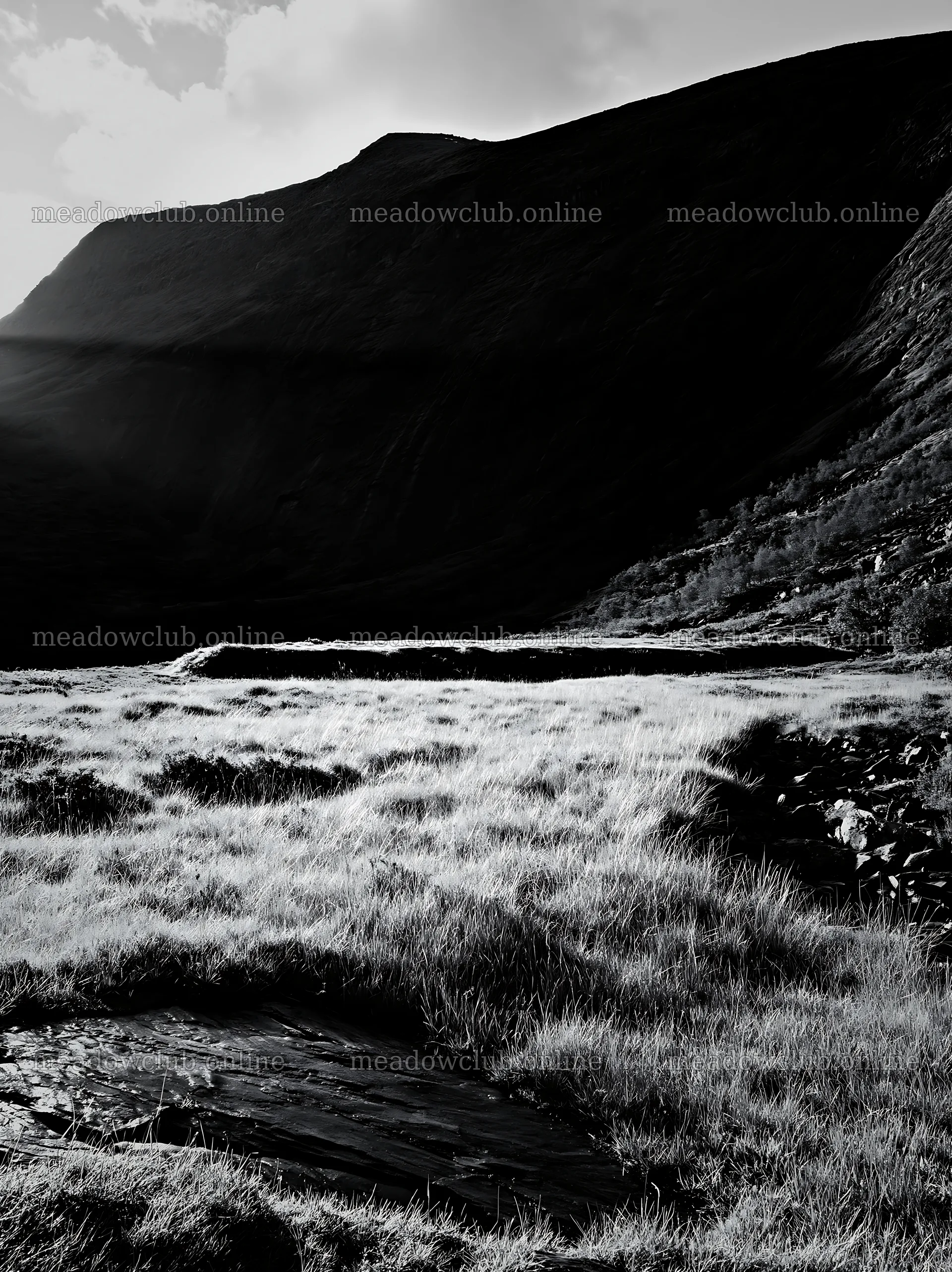 Sunbeams shining over Jotunheimen valley meadow – meadow photos 6866x9174