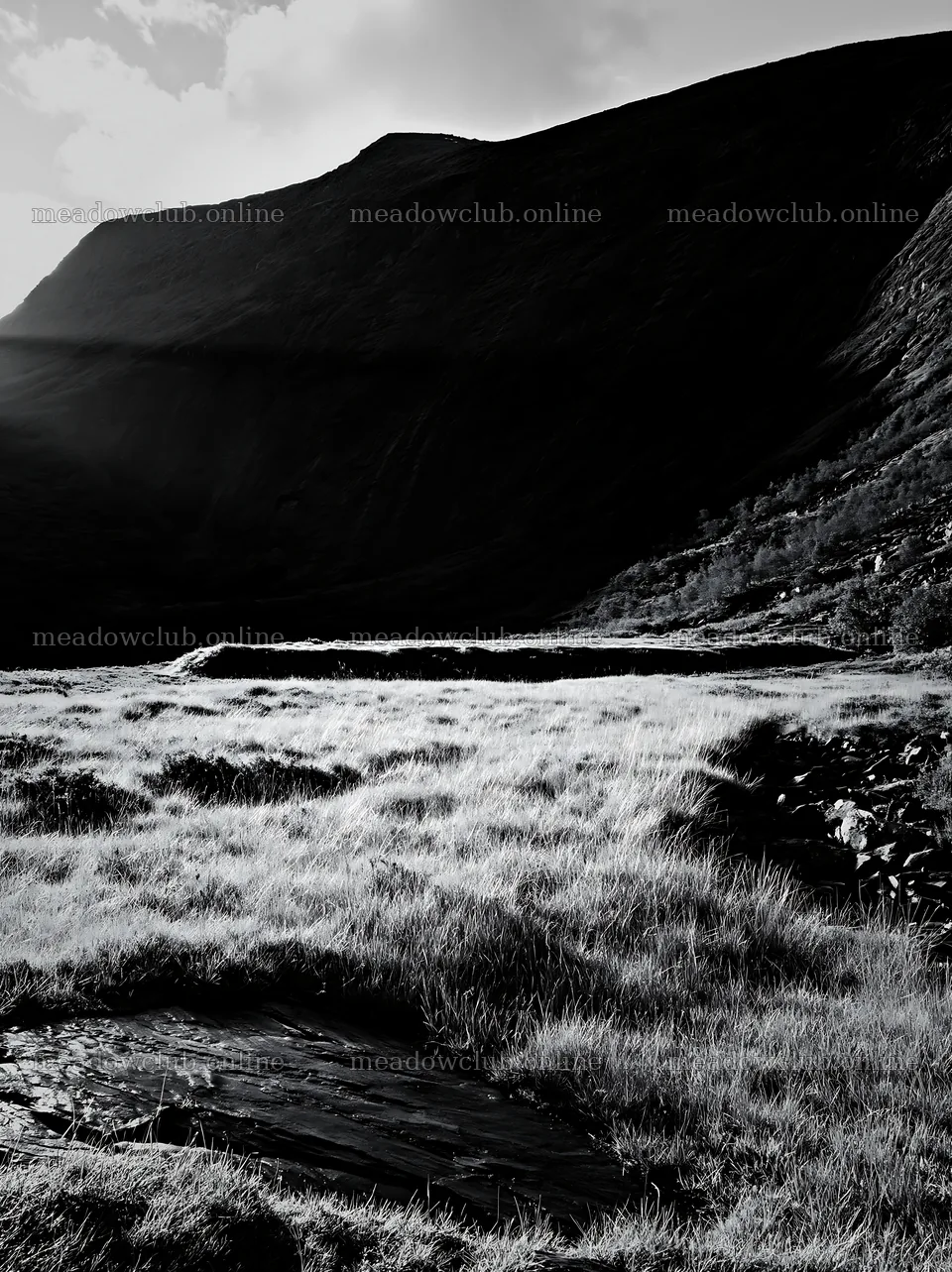 Sunbeams shining over Jotunheimen valley meadow – meadow photos 6866x9174