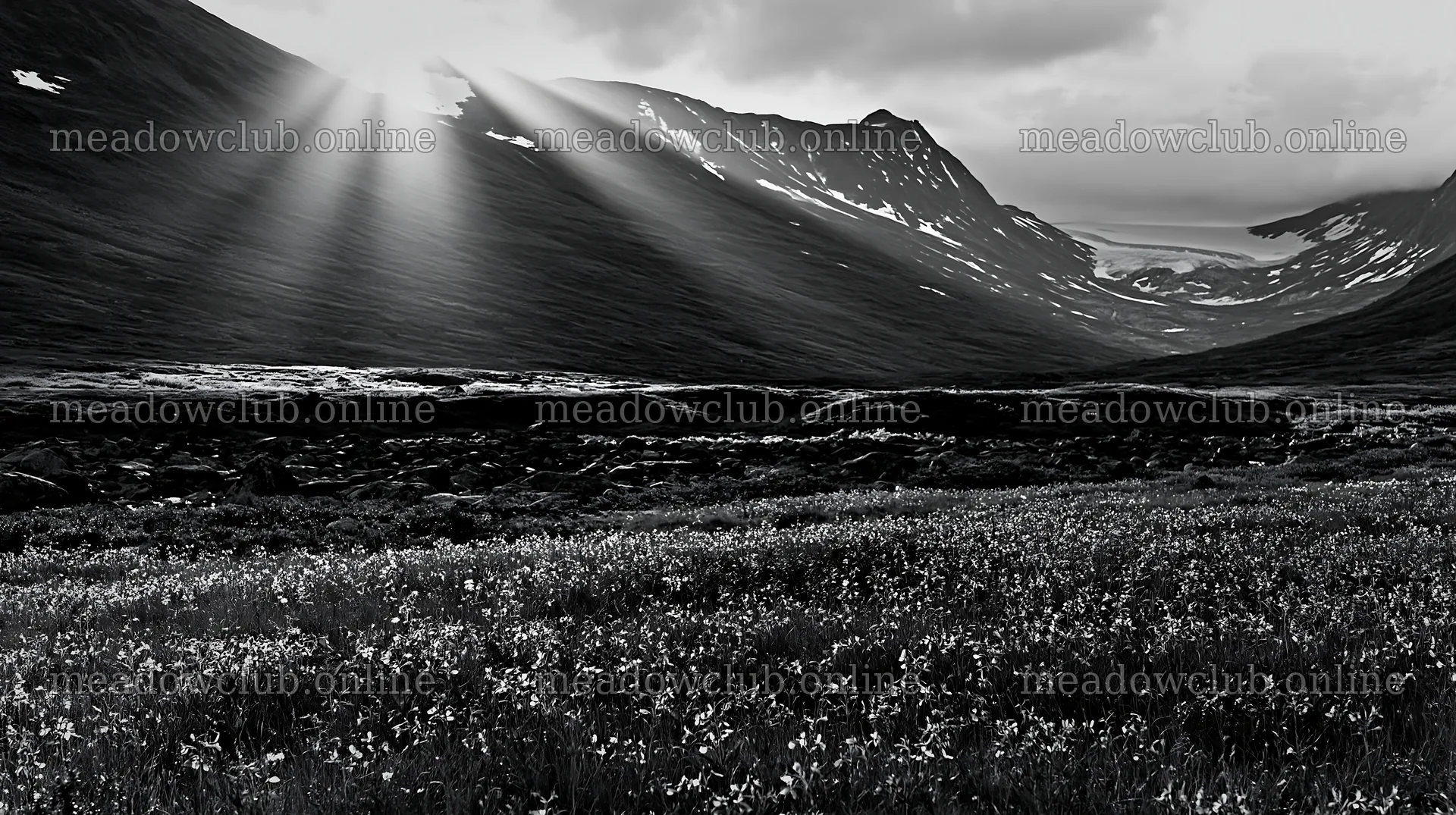 Sunbeams over Jotunheimen valley meadow in black and white – meadow photos 10608x5938