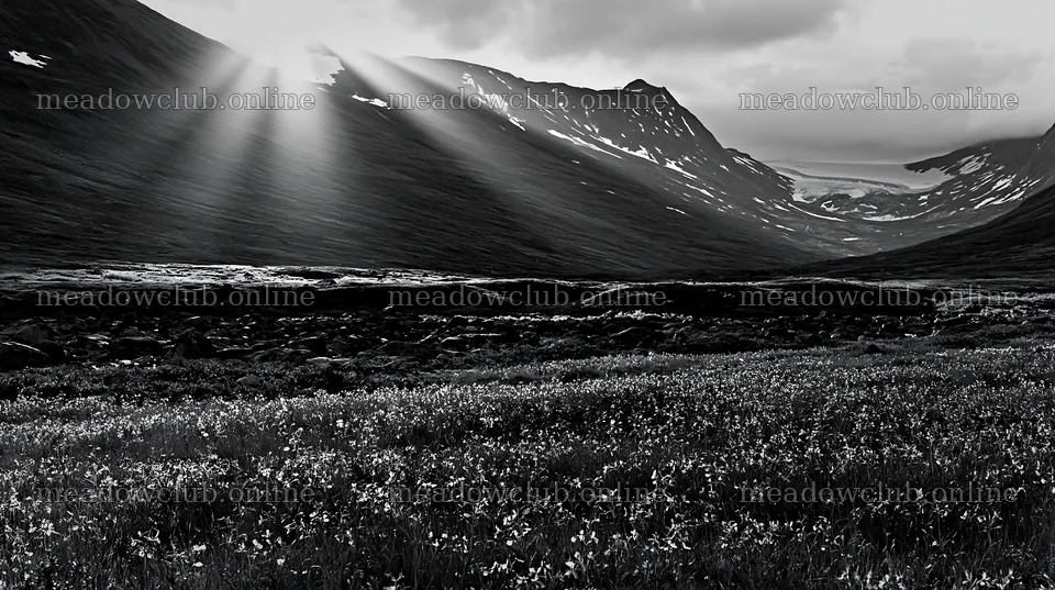 Sunbeams over Jotunheimen valley meadow in black and white – meadow photos 10608x5938
