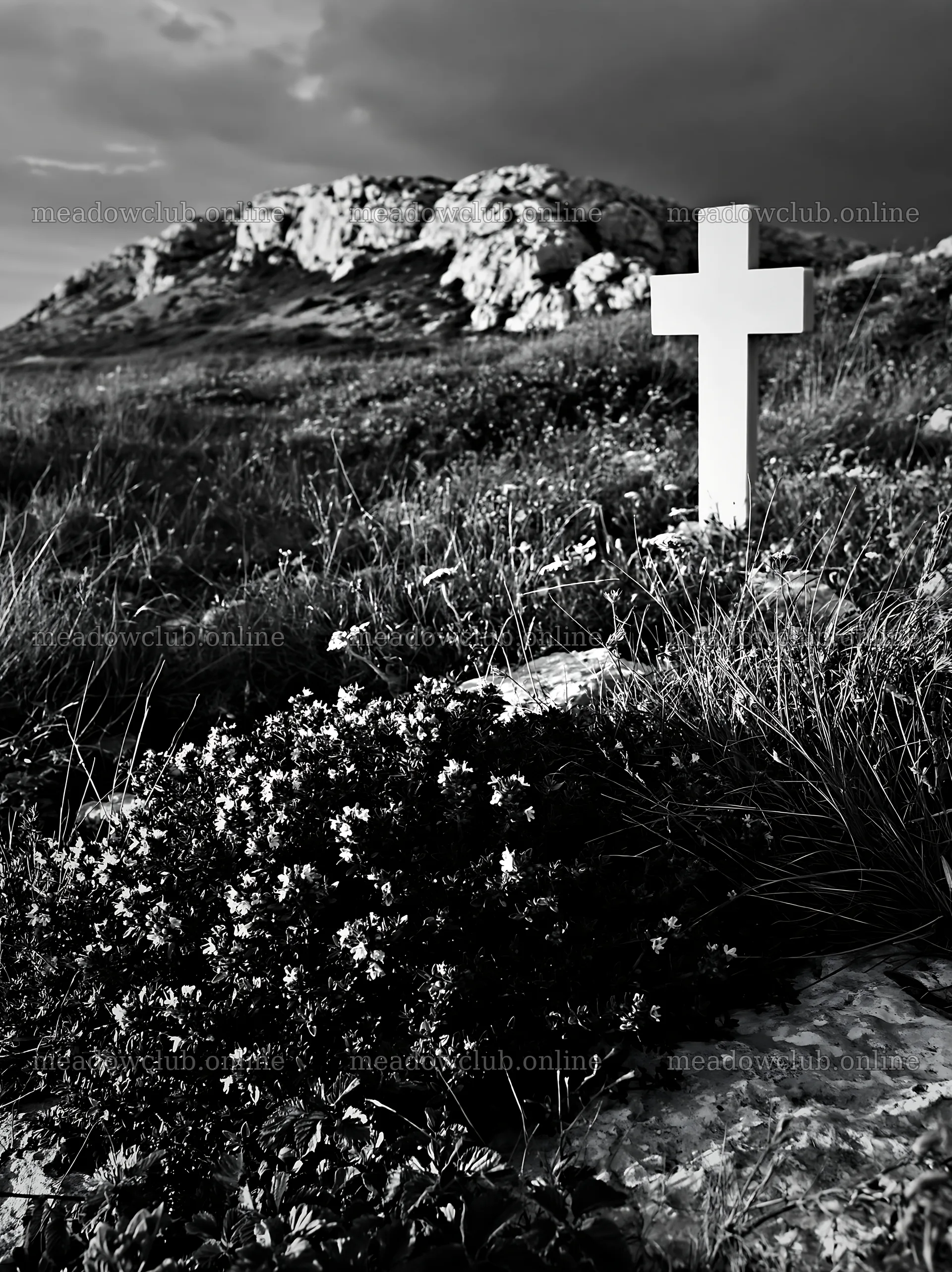 White Christian cross stands in remote meadow – meadow photos 6866x9174