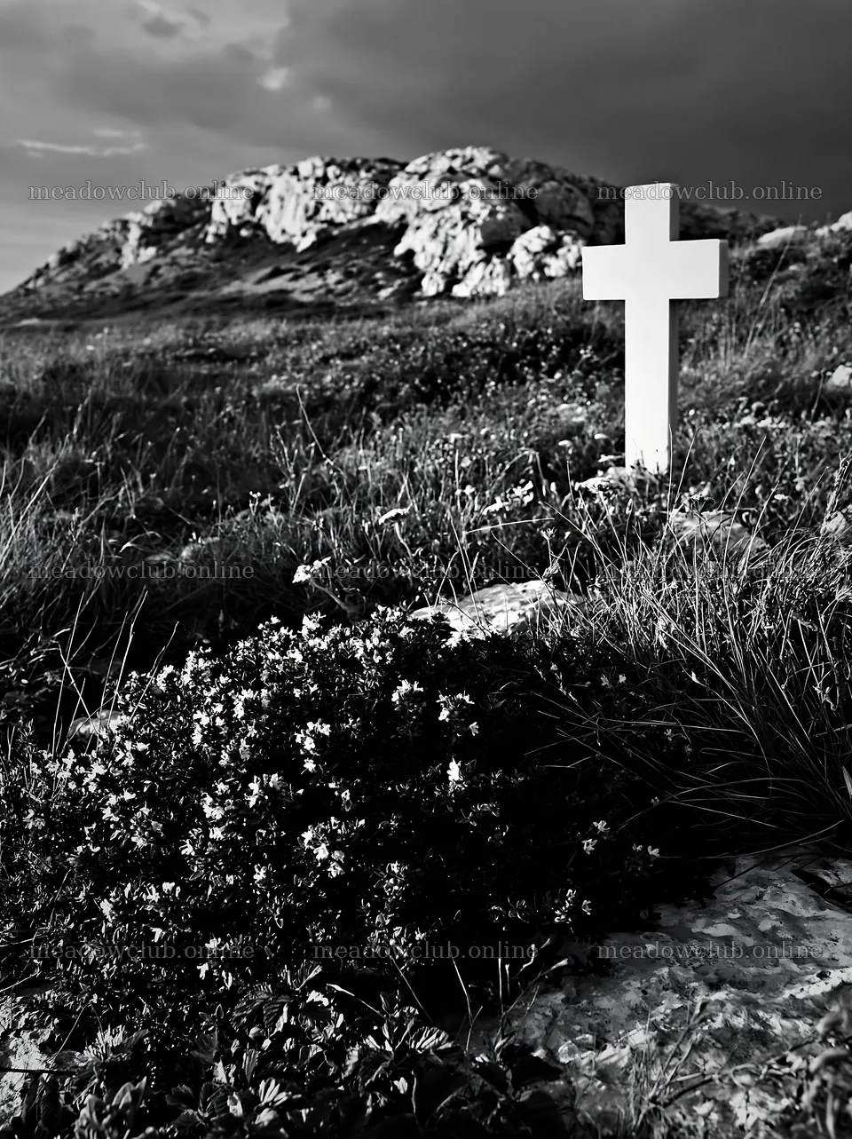 White Christian cross stands in remote meadow – meadow photos 6866x9174