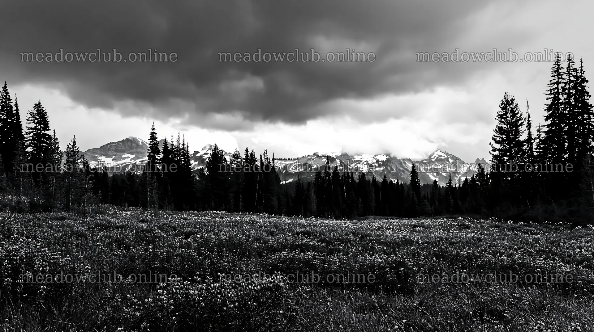 Rainwashed meadow with mountains under cloudy sky – meadow photos 10608x5938