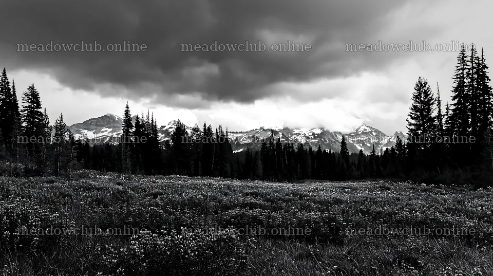 Rainwashed meadow with mountains under cloudy sky – meadow photos 10608x5938