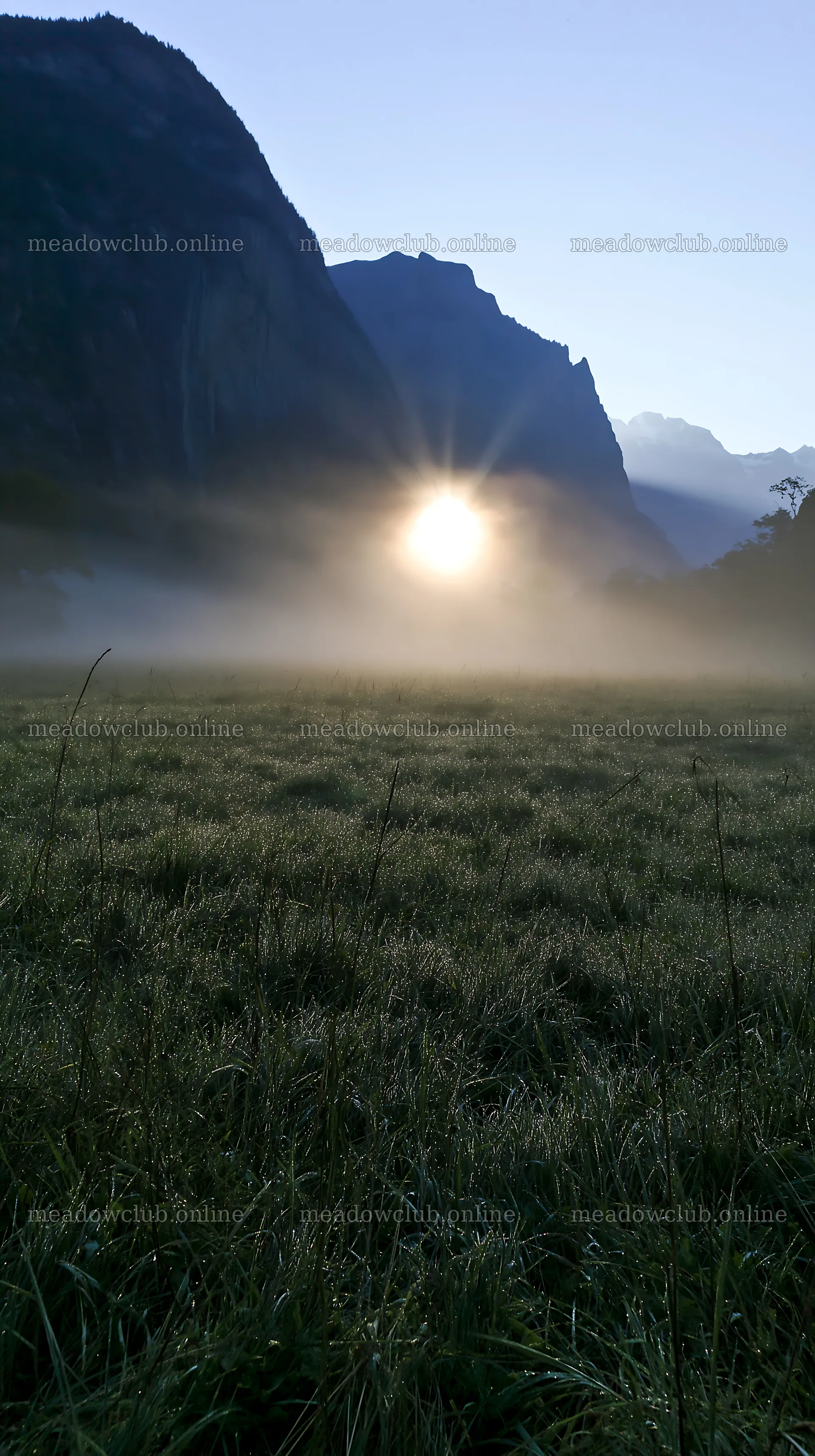 Lauterbrunnen Valley meadow light rays show sun through mist – meadow photos 5938x10608
