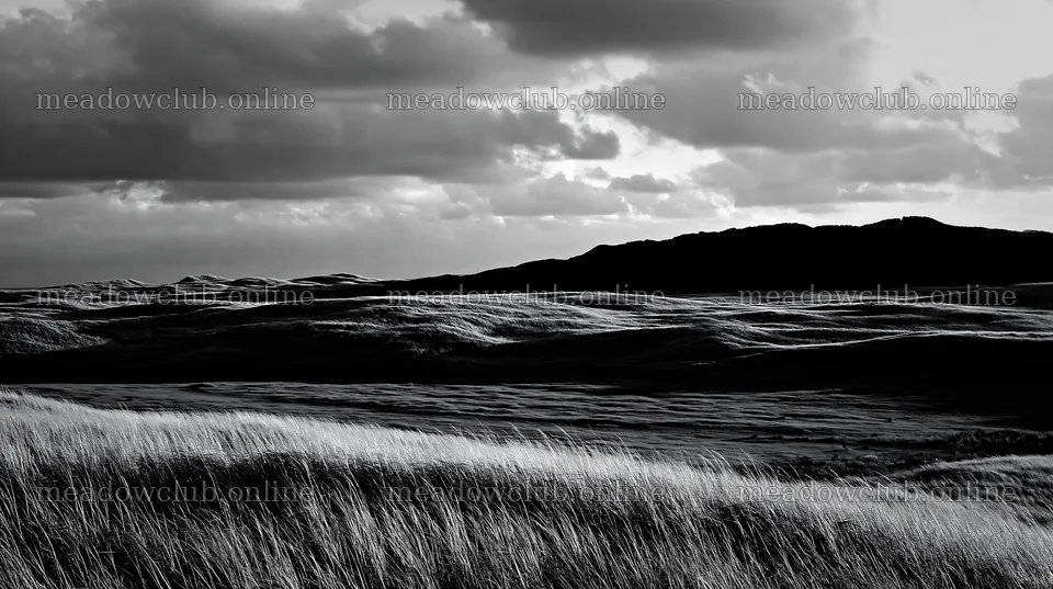 Windy meadow with dune grasses in Tottori – meadow photos 10608x5938