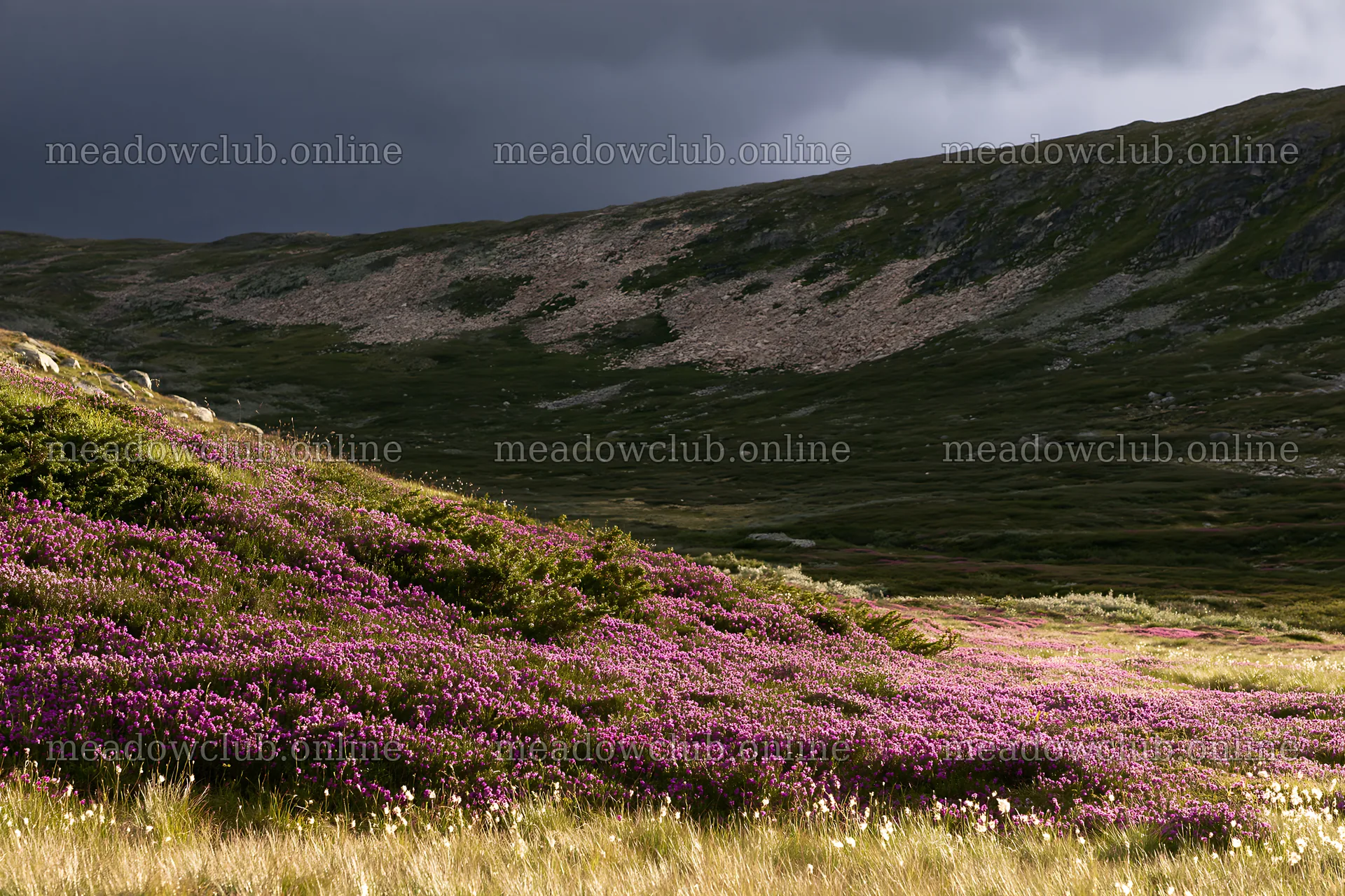 Jotunheimen valley meadow with sunbeams through clouds – meadow photos 9722x6480