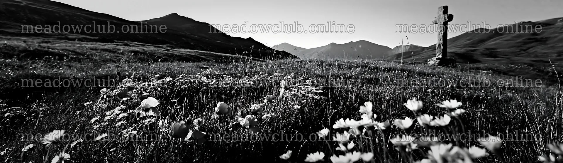 Christian cross in alpine meadow with flowers and mountains – meadow photos 14762x4268