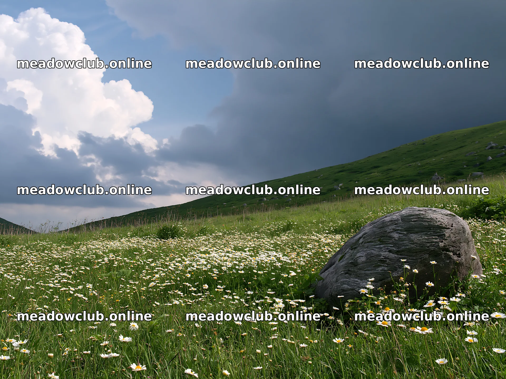 Aomori climate resilient meadow with boulder is lush and green – meadow photos 9174x6866