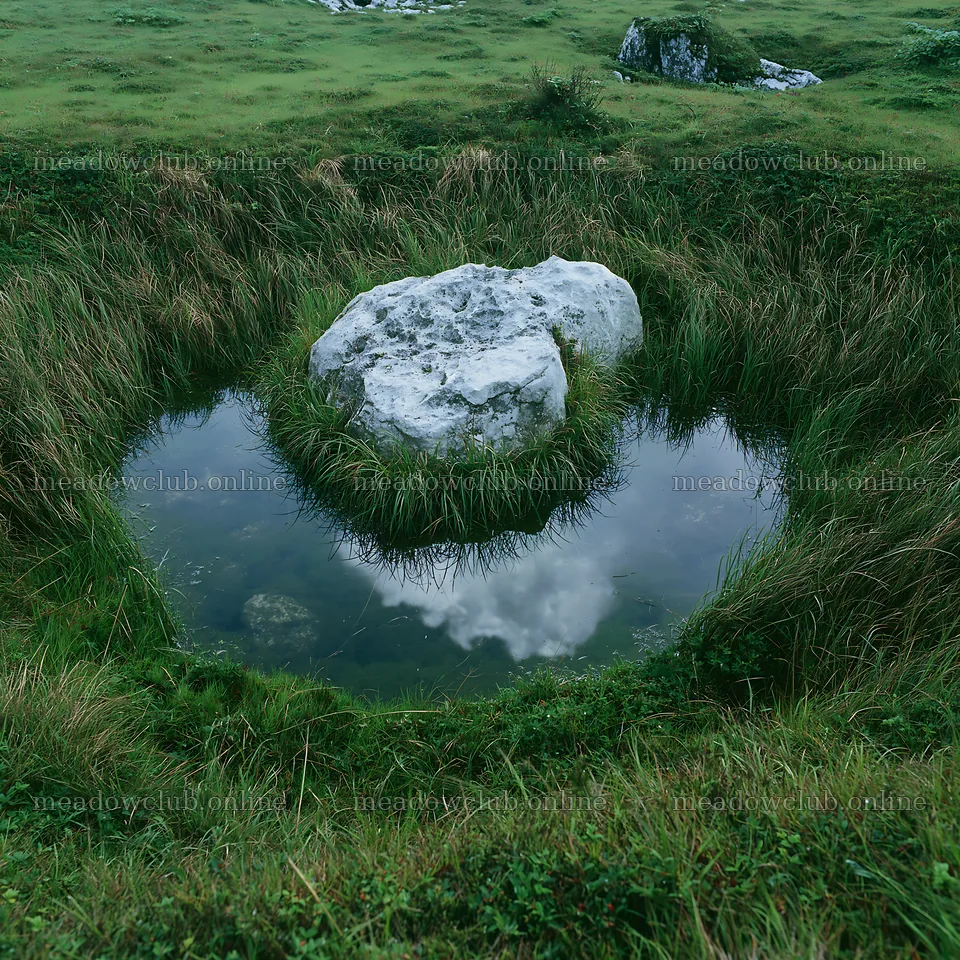 Yamaguchi limestone meadow with boulder and water – meadow photos 7938x7938